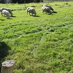 여관 Hoeve De Mertel Biezenmortel