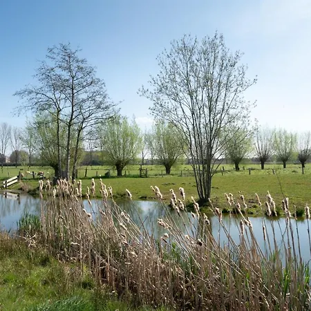 Mini-hôtel Hoeve De Mertel Biezenmortel