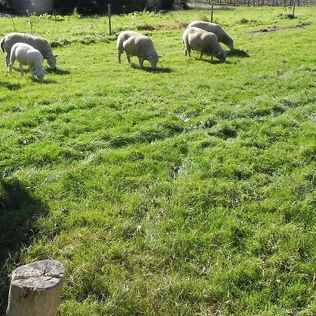 Inn Hoeve De Mertel Biezenmortel