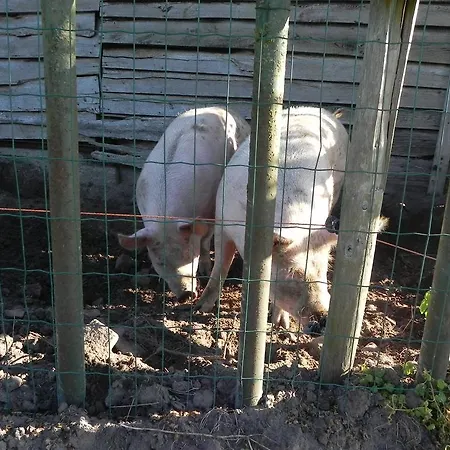 Hoeve De Mertel Inn *