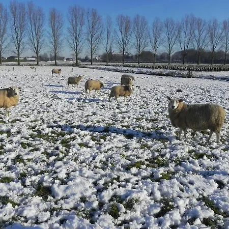 Hoeve De Mertel Biezenmortel