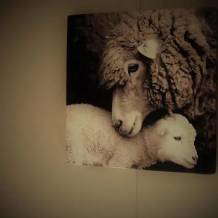 Hoeve De Mertel イン Biezenmortel