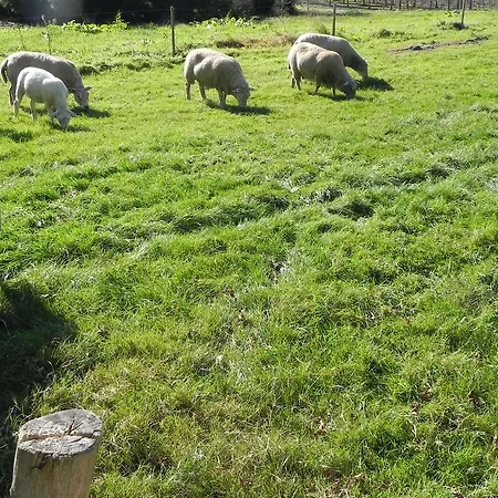 イン Hoeve De Mertel Biezenmortel