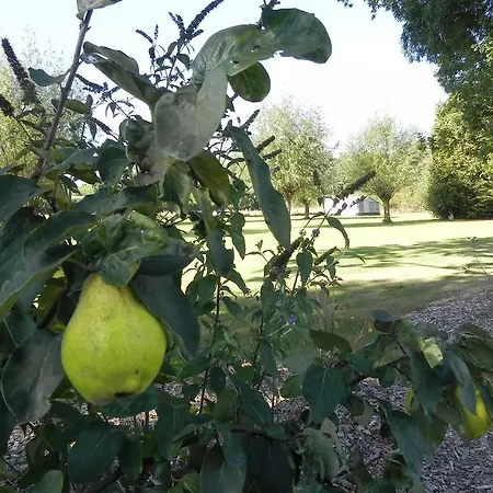 Hoeve De Mertel Biezenmortel