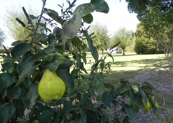 Hoeve De Mertel Biezenmortel