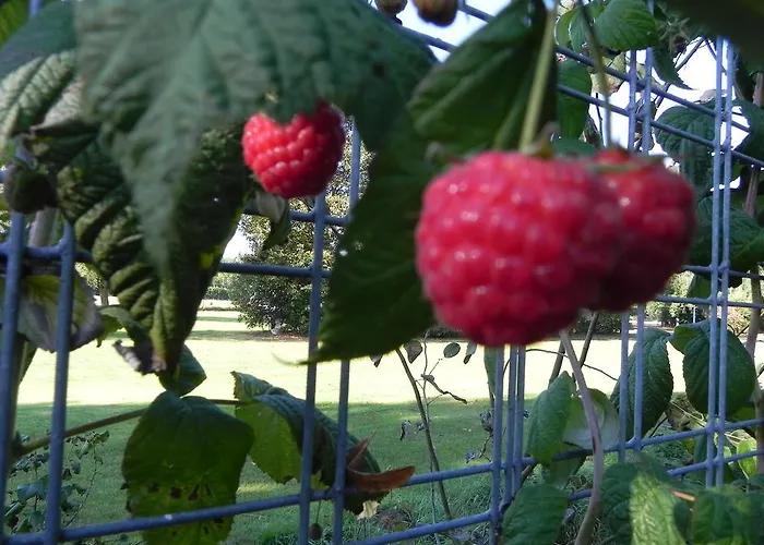 Hoeve De Mertel Värdshus