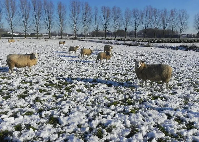 Hoeve De Mertel Biezenmortel